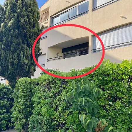Studio Cabine 4 Personnes Avec Piscine En Front De Mer